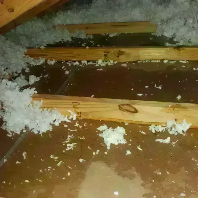 Attic Water Damage in Kirby, TX