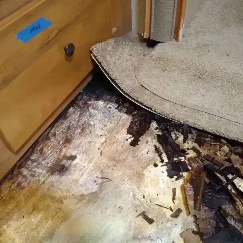 Wood Floor Water Damage in Kirby, TX